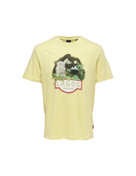 ONSGORDON REG SS PRINTED TEE