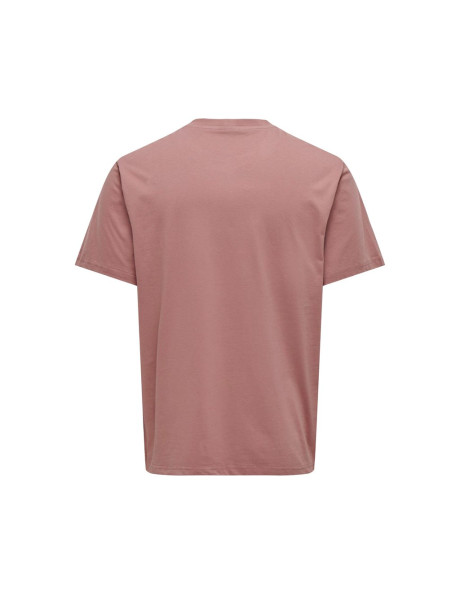 Camisetas básicas . ONSLEVI LIFE REG TEXT SS TEE NOOS