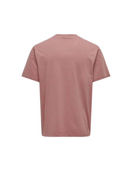 Camisetas básicas . ONSLEVI LIFE REG TEXT SS TEE NOOS