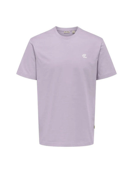 Camiseta  manga corta.ONSMAXIM REG SS TEE