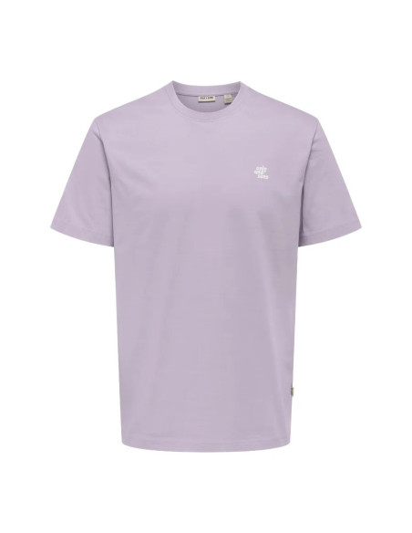 Camiseta  manga corta.ONSMAXIM REG SS TEE
