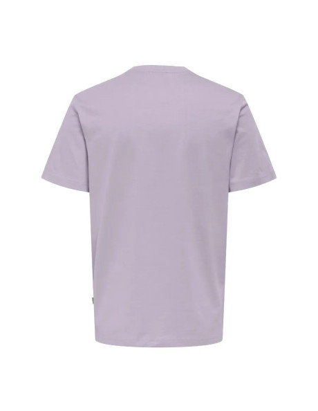 Camiseta  manga corta.ONSMAXIM REG SS TEE