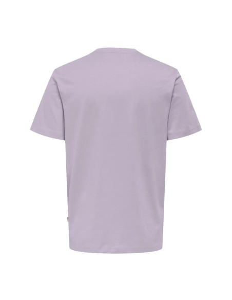 Camiseta  manga corta.ONSMAXIM REG SS TEE