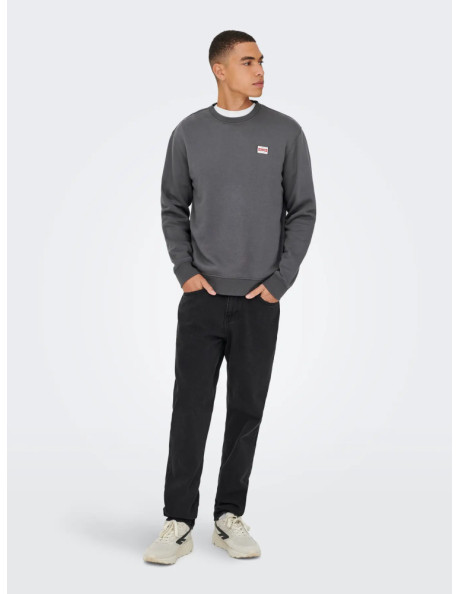 Sudadera logo Sons : ONSDAWSON REG CREW VD