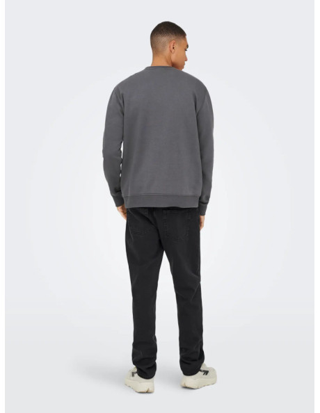 Sudadera logo Sons : ONSDAWSON REG CREW VD