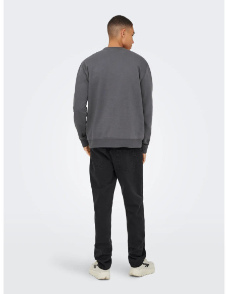 Sudadera logo Sons : ONSDAWSON REG CREW VD