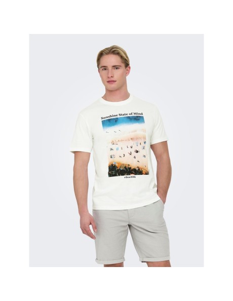 Camiseta summer vibes . ONSKOLTON REG BEACH PHOTOPRINT SS TEE